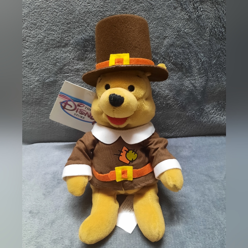 Disney Winnie the Pooh (Pilgrim Pooh) 8" Plush